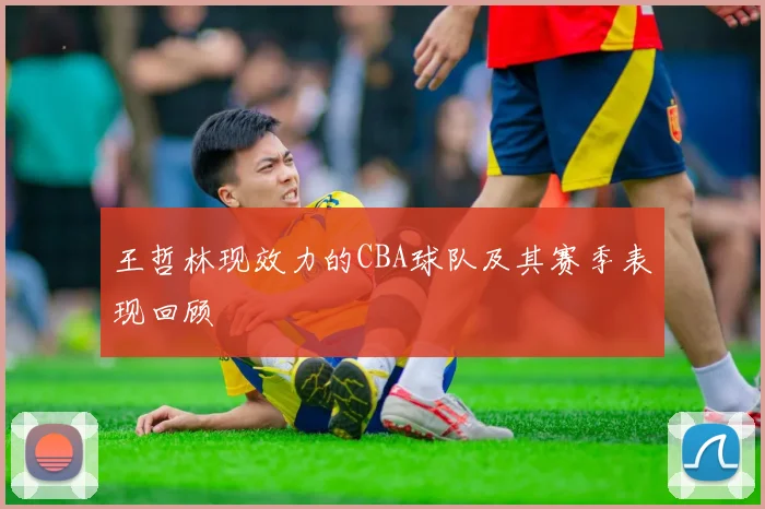 王哲林现效力的CBA球队及其赛季表现回顾