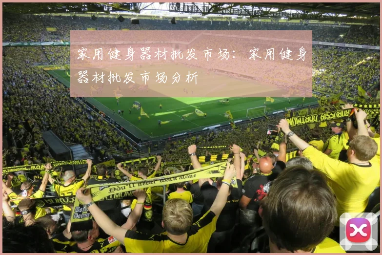 家用健身器材批发市场：家用健身器材批发市场分析